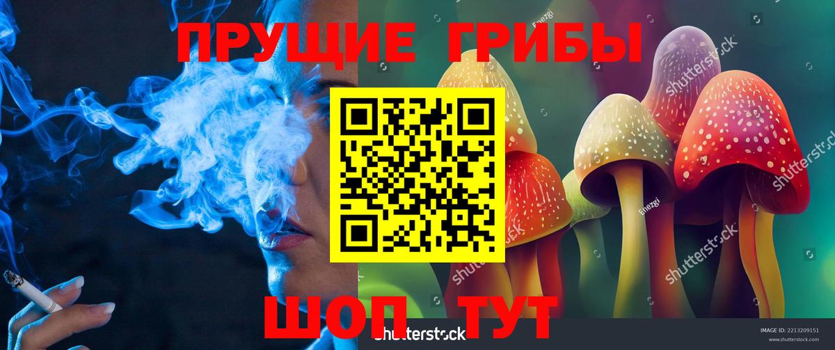 где купить наркоту  Вход с VPN  Галлюциногенные грибы GOLDEN TEACHER  Кыштым  Псилоцибиновые грибы MAGIC MUSHROOMS 